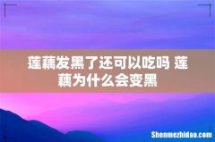 莲藕发黑了还可以吃吗 莲藕为什么会变黑