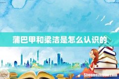 蒲巴甲和梁洁是怎么认识的