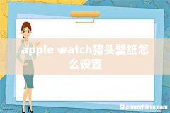 apple watch猪头壁纸怎么设置