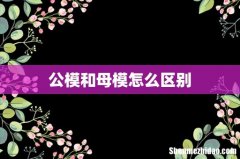 公模和母模怎么区别