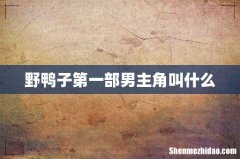 野鸭子第一部男主角叫什么