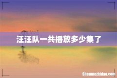 汪汪队一共播放多少集了