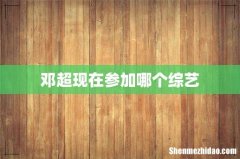 邓超现在参加哪个综艺