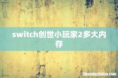 switch创世小玩家2多大内存