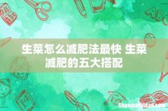 生菜怎么减肥法最快 生菜减肥的五大搭配