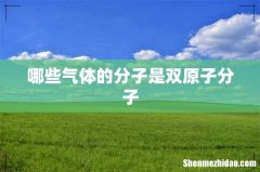 哪些气体的分子是双原子分子