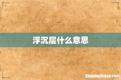 浮沉层什么意思