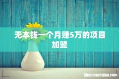 无本钱一个月赚5万的项目加盟