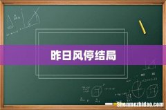 昨日风停结局