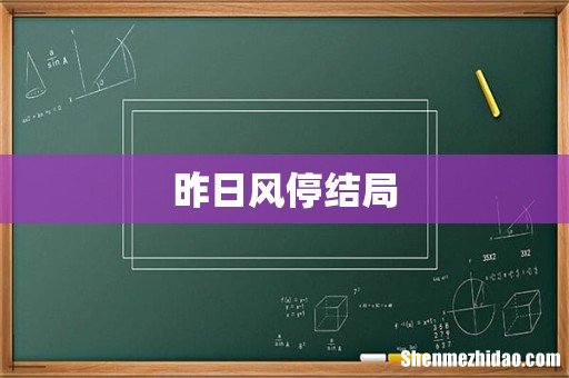 昨日风停结局