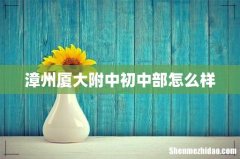 漳州厦大附中初中部怎么样