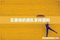 五香味的腐乳怎样调料