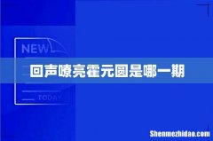 回声嘹亮霍元圆是哪一期