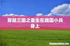 穿越三国之重生在魏国小兵身上