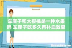 车厘子和大樱桃是一种水果吗 车厘子吃多久有补血效果