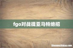 fgo对战提亚马特绝招