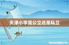 天津小学是公立还是私立