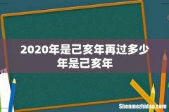 2020年是己亥年再过多少年是己亥年
