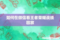 如何在微信看王者荣耀战绩回放
