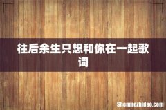 往后余生只想和你在一起歌词