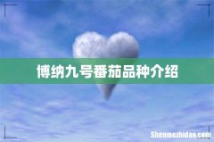 博纳九号番茄品种介绍