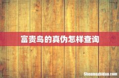 富贵鸟的真伪怎样查询