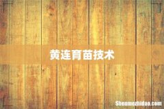 黄连育苗技术