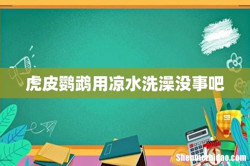 虎皮鹦鹉用凉水洗澡没事吧