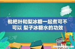 枇杷叶和梨冰糖一起煮可不可以 梨子冰糖水的功效