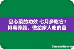 空心菜的功效 七月多吃它！排毒养颜，做给家人吃的首选菜