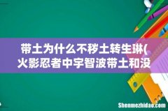 火影忍者中宇智波带土和没有秽土转生的宇智波斑是同一个人吗 带土为什么不秽土转生琳