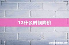 12什么时候降价