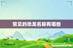 常见的恐龙名称有哪些