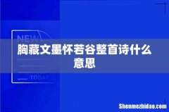 胸藏文墨怀若谷整首诗什么意思
