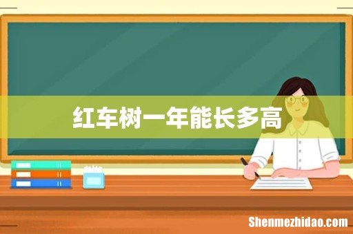 红车树一年能长多高