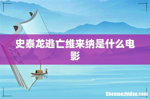 史泰龙逃亡维来纳是什么电影