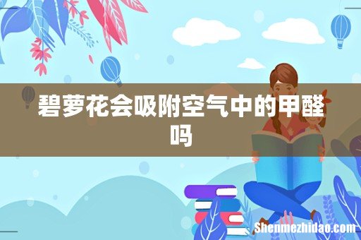 碧萝花会吸附空气中的甲醛吗