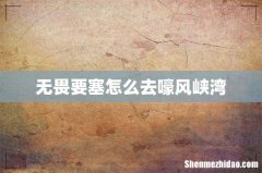 无畏要塞怎么去嚎风峡湾
