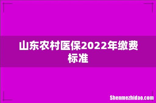 山东农村医保2022年缴费标准