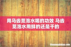 用马齿苋泡水喝的功效 马齿苋泡水用鲜的还是干的