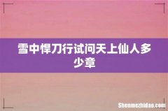雪中悍刀行试问天上仙人多少章