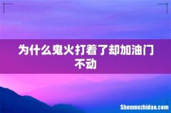 为什么鬼火打着了却加油门不动