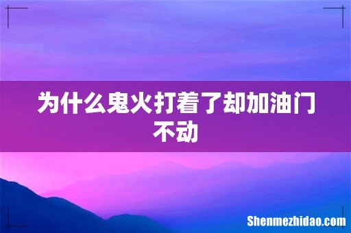 为什么鬼火打着了却加油门不动