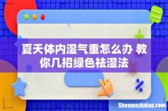 夏天体内湿气重怎么办 教你几招绿色祛湿法
