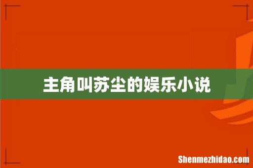 主角叫苏尘的娱乐小说