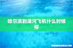 哈尔滨到漠河飞机什么时候停