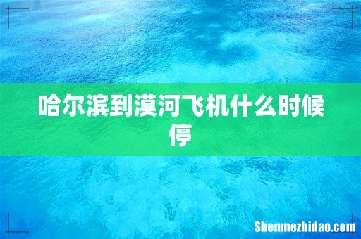 哈尔滨到漠河飞机什么时候停