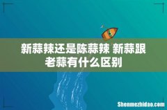 新蒜辣还是陈蒜辣 新蒜跟老蒜有什么区别