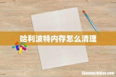 哈利波特内存怎么清理