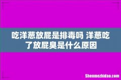 吃洋葱放屁是排毒吗 洋葱吃了放屁臭是什么原因